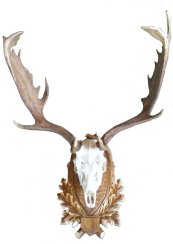 Podložka pod trofej č.228 - tónovaná