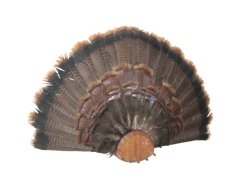 Podložka pod trofej č.152 - tónovaná