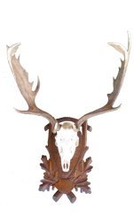 Podložka pod trofej č.226 - hnědá