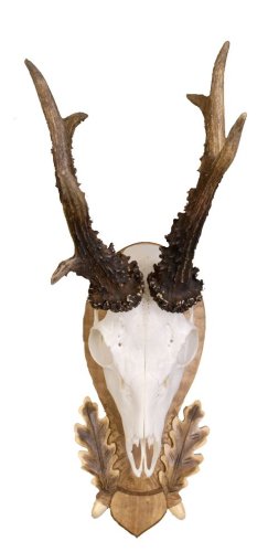 Podložka pod trofej č.110 - Barva: Černá