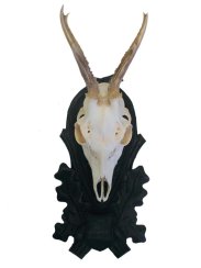 Podložka pod trofej č.146 - černá