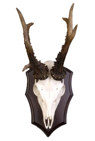 Podložka pod trofej č.309 - černá