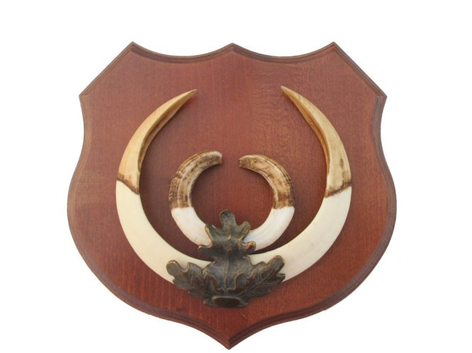 Podložka pod trofej č.364 - kaštan + bronzové litinové krytí