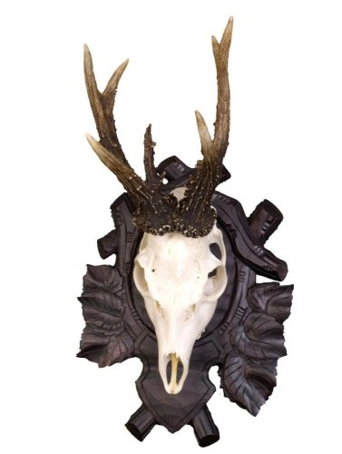 Podložka pod trofej č.142 - černá lipová ratolest