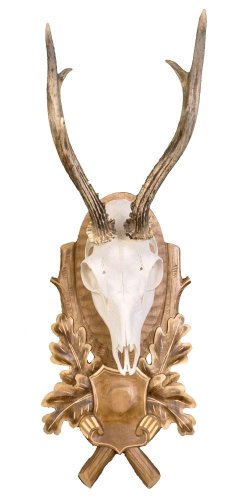 Podložka pod trofej č.128 - tónovaná