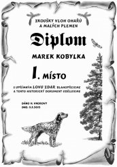 Diplom psí výstava a zkoušky č.740 pergamen z překližky