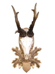 Podložka pod trofej č.103 - tónovaná