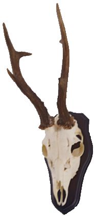 Podložka pod trofej č.327