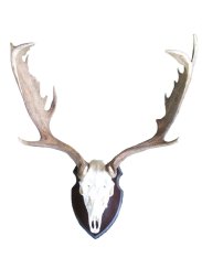 Podložka pod trofej č.303 - černá