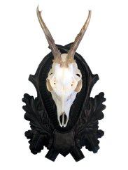 Podložka pod trofej č.147 hluboká řezba černá