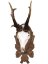 Podložka pod trofej č.126 - lipová ratolest - Barva: Hnědá