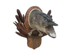 Podložka pod trofej č.451 - tónovaná s hnědými palachy