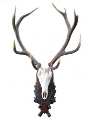 Podložka pod trofej č.209 - černá