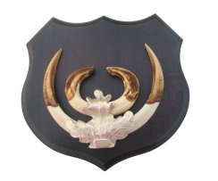 Podložka pod trofej č.363 - černá + stříbrné litinové krytí