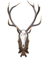 Podložka pod trofej č.229