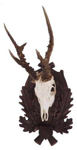 Podložka pod trofej č.119