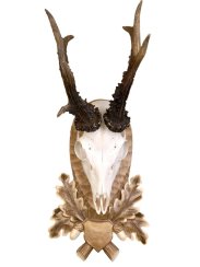 Podložka pod trofej č.106 - tónovaná