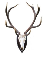 Podložka pod trofej č.341 - černá