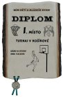 Sportovní diplomy