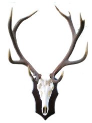 Podložka pod trofej č.349 - černá