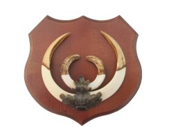 Podložka pod trofej č.364 - kaštan + bronzové litinové krytí