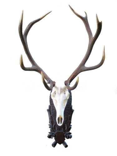 Podložka pod trofej č.208 - černá