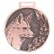 Medaile podle hodnocení CIC liška č.840 - bronzová medaile liška