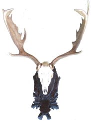 Podložka pod trofej č.207 - černá