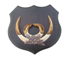 Podložka pod trofej č.363 - černá + plechové krytí