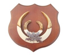 Podložka pod trofej č.364 - kaštan + plechové krytí