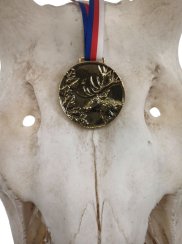 Medaile podle hodnocení CIC jelena č.817 - zlatá medaile podle hodnocení CIC s motivem jelena