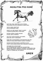 Modlitba pro koně č. 782 pergamen z překližky