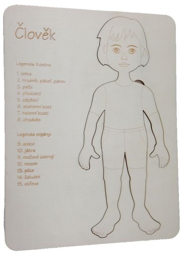 Člověk 2