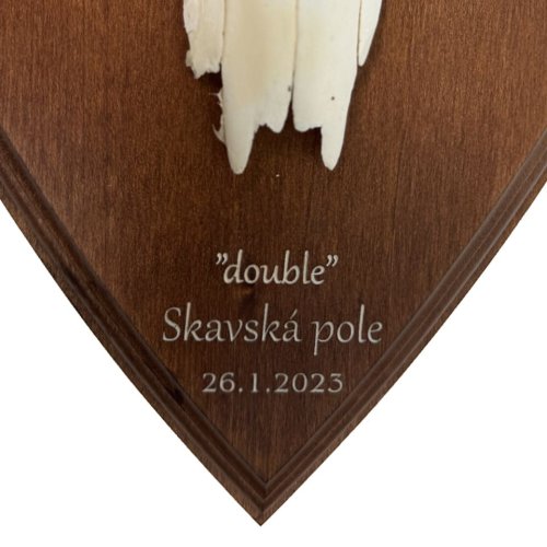Podložka pod trofej č.341