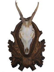 Podložka pod trofej č.147 hluboká řezba hnědá