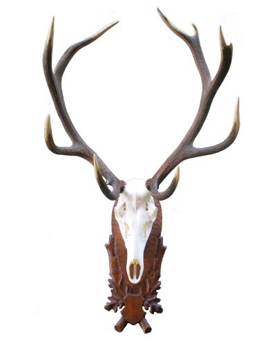 Podložka pod trofej č.208 - hnědá