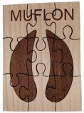 Muflon