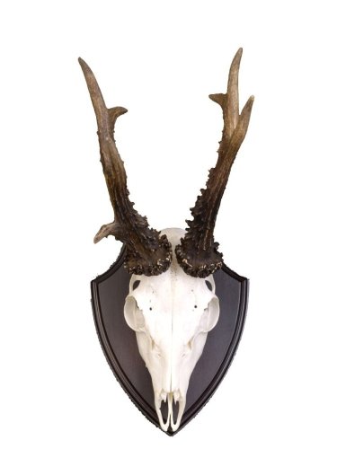 Podložka pod trofej č.308 - černá