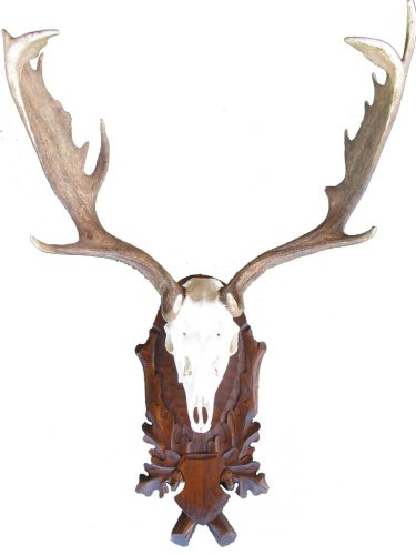 Podložka pod trofej č.207 - hnědá