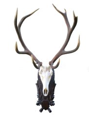 Podložka pod trofej č.208 - černá