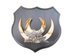 Podložka pod trofej č.361 - černá + plechové krytí