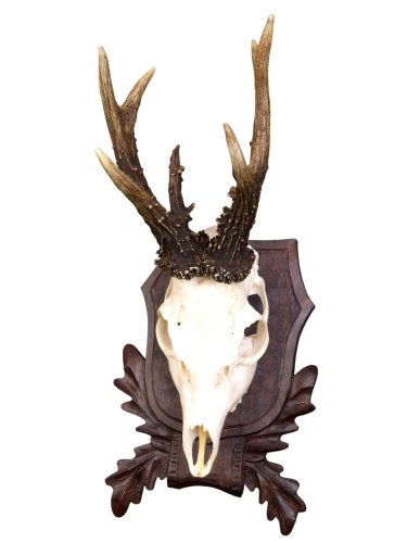 Podložka pod trofej č.105 - černá