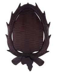 Podložka pod trofej č.467 Harte beestLechwe