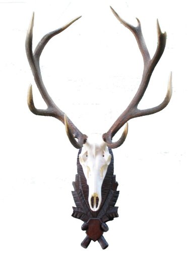 Podložka pod trofej č.209 - černá