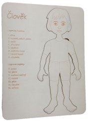 Člověk 2