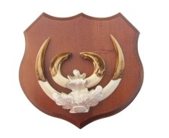 Podložka pod trofej č.363 - kaštan + stříbrné litinové krytí