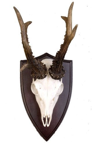 Podložka pod trofej č.302 - černá