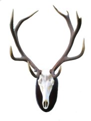 Podložka pod trofej č.350 - černá