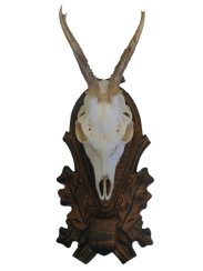 Podložka pod trofej č.146 - hnědá