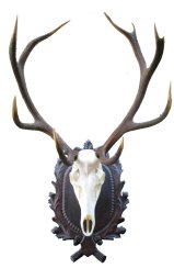 Podložka pod trofej č.224 - černá